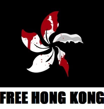 what is notepad++ stand with hong kong